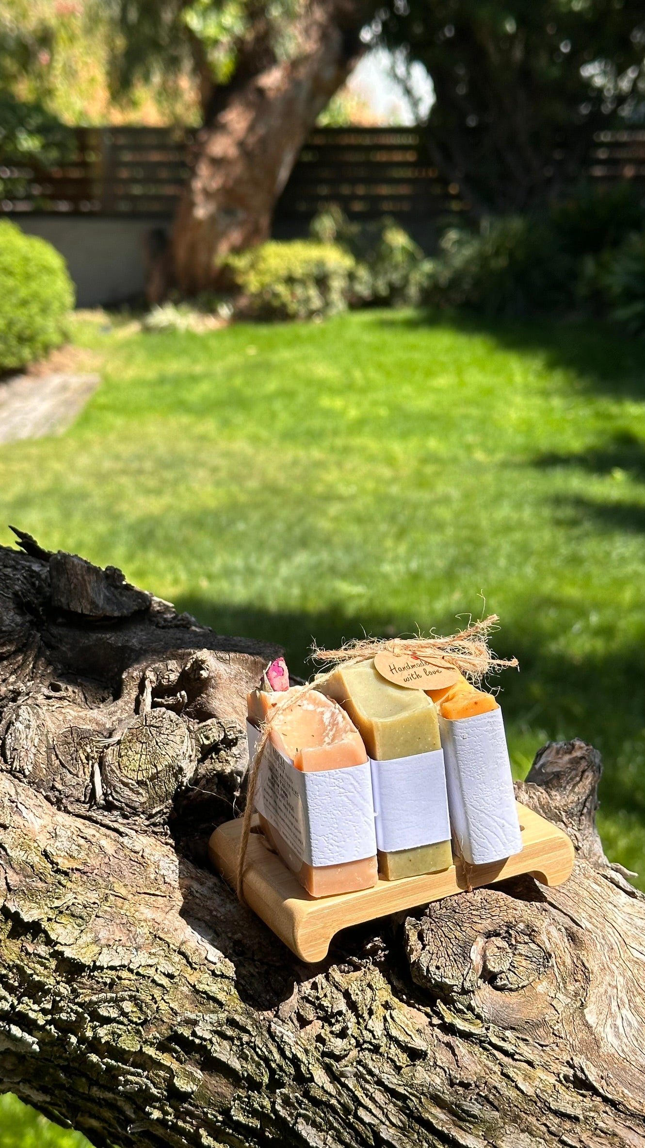 הכל פירות אורגניים