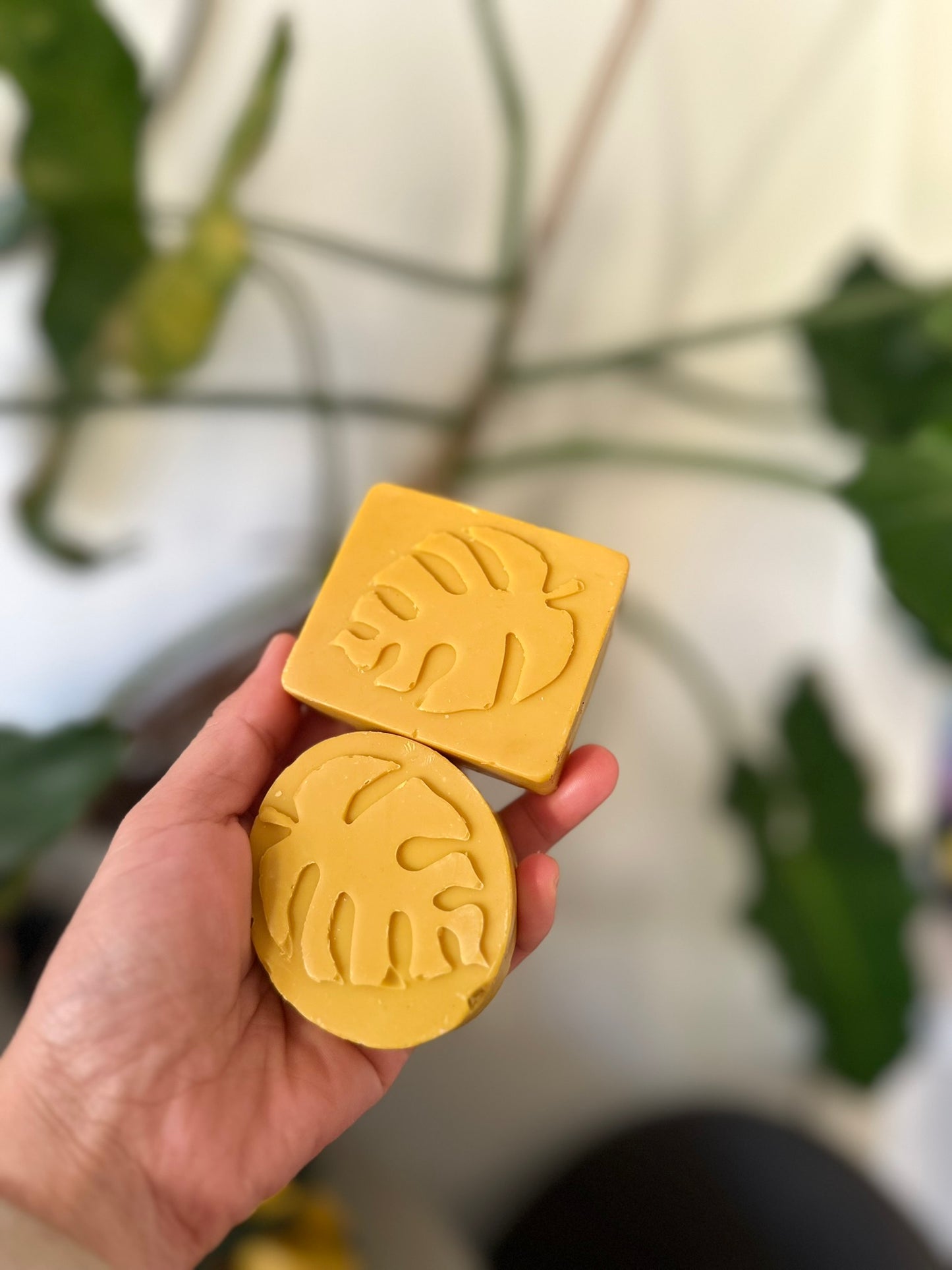 DRIED LEMONGRASS EUCALYPTUS