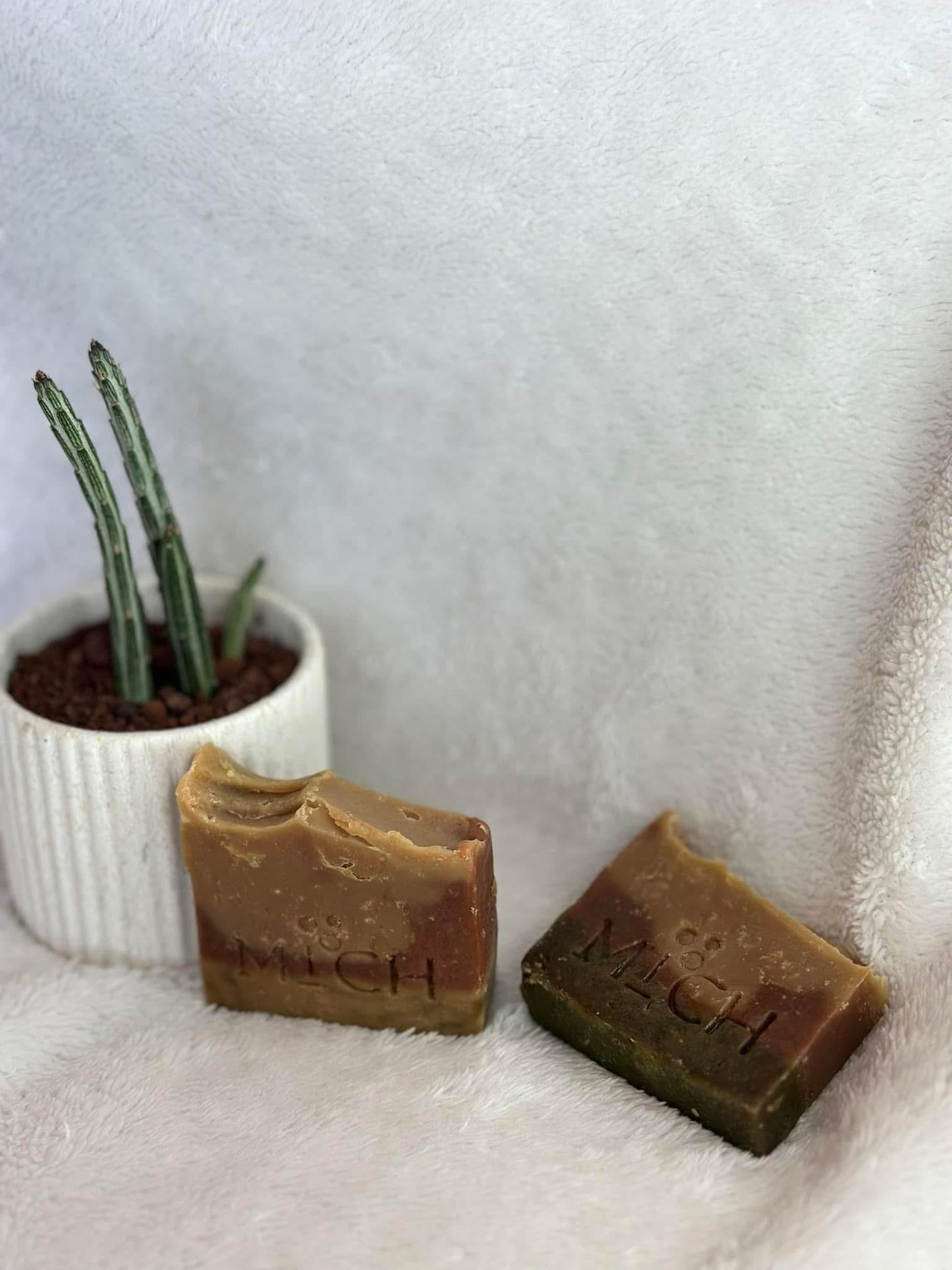 Guava Cloves (for scalp and face/body)